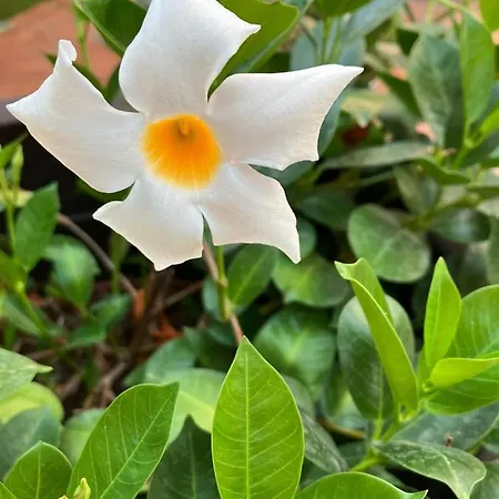 Redebora מלון Torregrotta