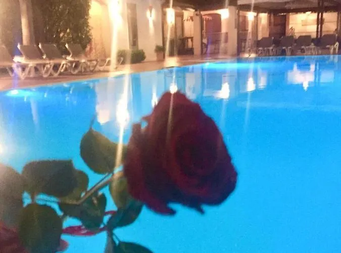 酒店 里迪博拉酒店 3*