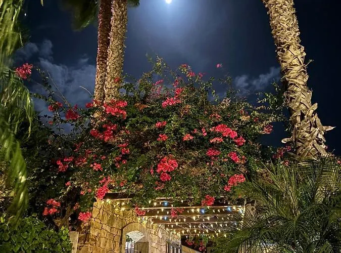 酒店 里迪博拉酒店