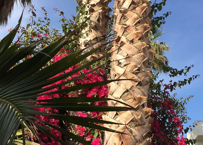 里迪博拉酒店 托雷格罗塔